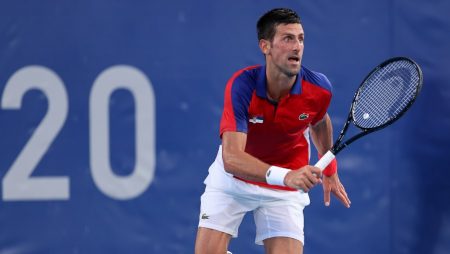 Novak Djokovic the world No. 1 registered a straight-set win over Fokina