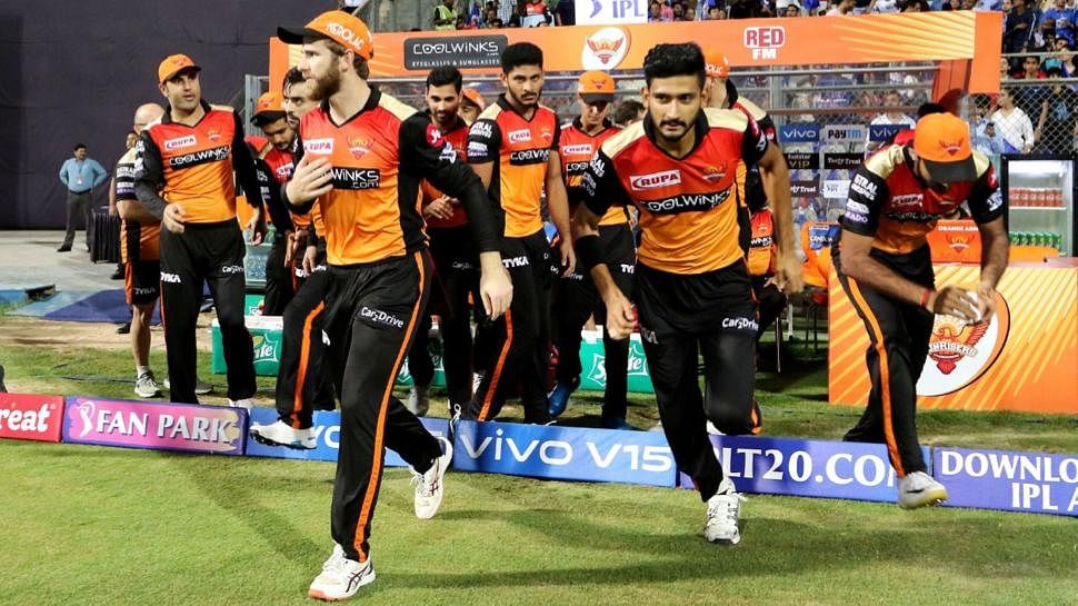 David Warner cheers for the Sunrisers Hyderabad in the Indian Premier League