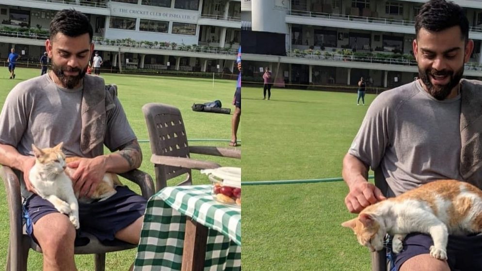IND vs NZ 2021: Virat Kohli shares photos of an ”cool cat” with him during practice