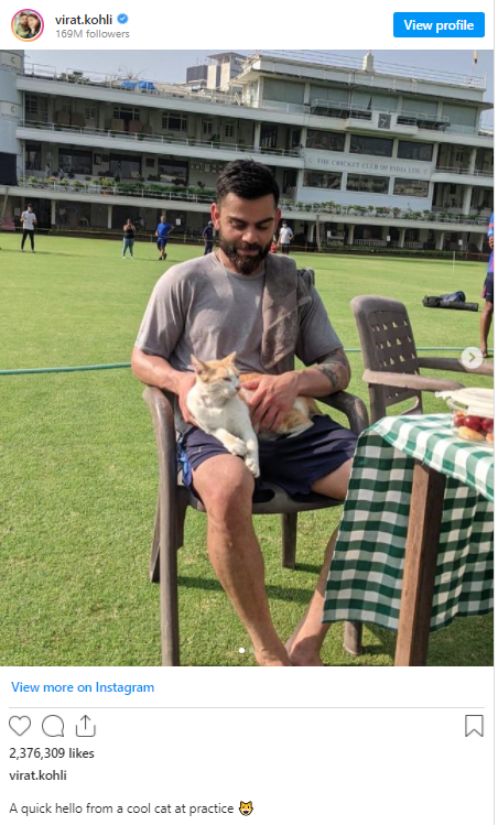 IND vs NZ 2021: Virat Kohli shares photos of an ''cool cat" with him during practice