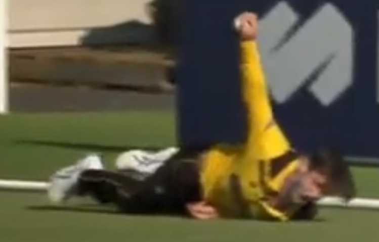 Australian Cricketer Hilton Cartwright’s Mind-Blowing Catch in the Marsh Cup.